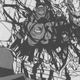Illustration for article titled iBig Hero 6/i Vol. 2 - Manga Review